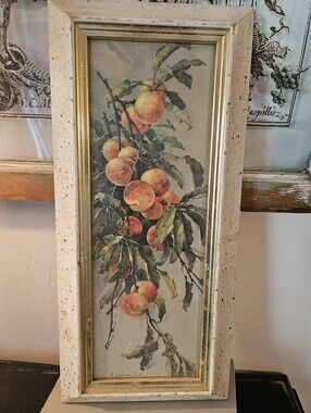 Vintage Turner Mfg Co. Fruit Wall Art – Mid Century Framed Botanical Print –5x14